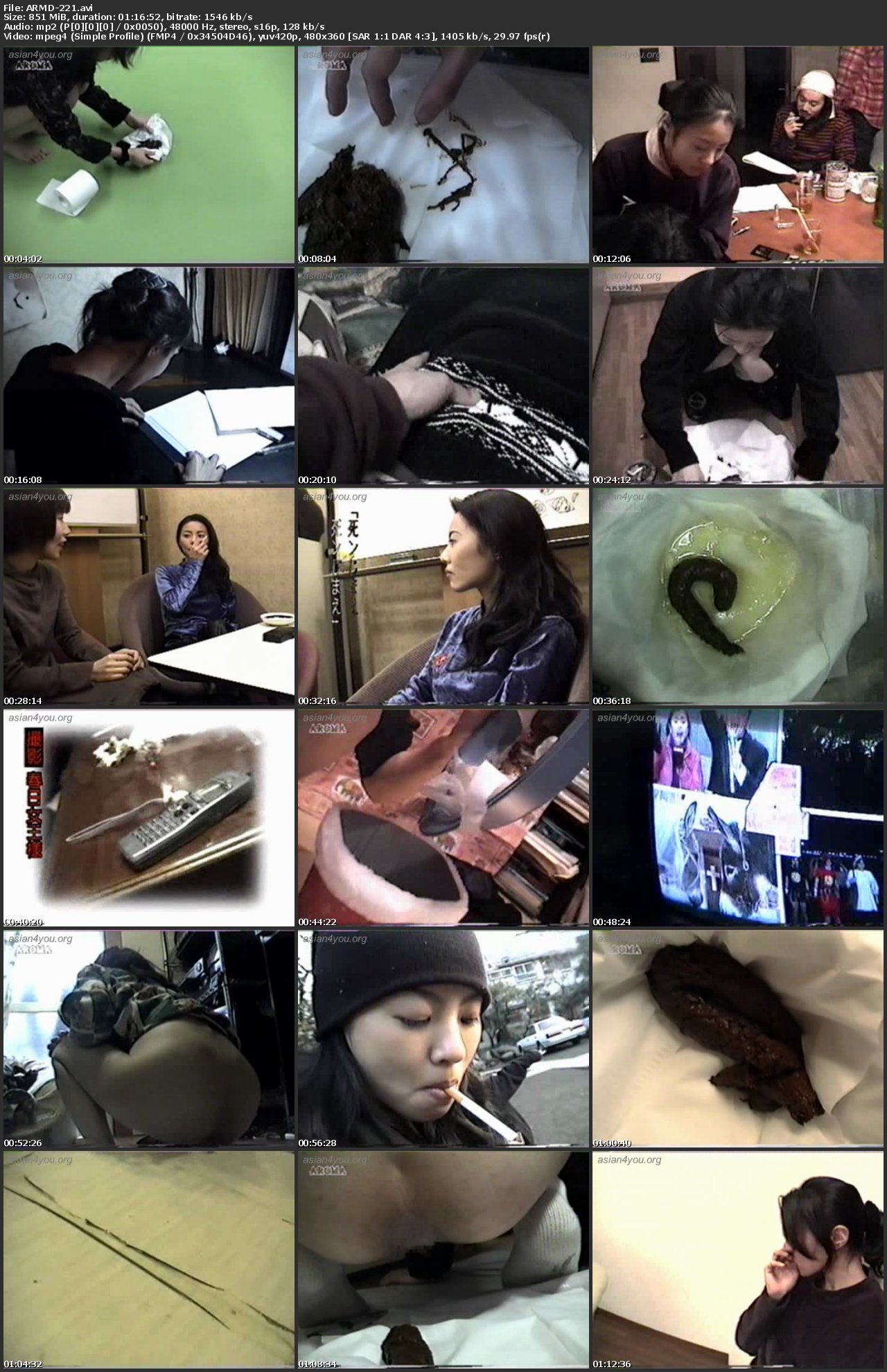 [ARMD-221] 刹奈紫之糞戦記（DVD） Other Scat Setsuna Shino