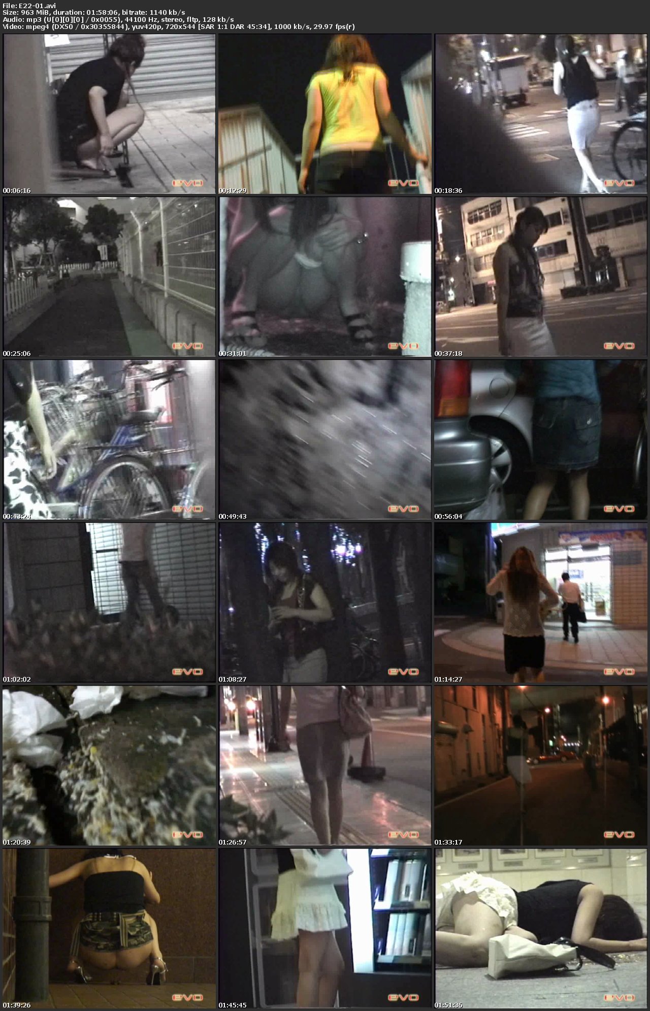 [E22-01] 泥酔女の大失態 街グソ・街下痢・街ゲロ 1 投稿 盗撮 嘔吐 エボ・ビジュアル 118分