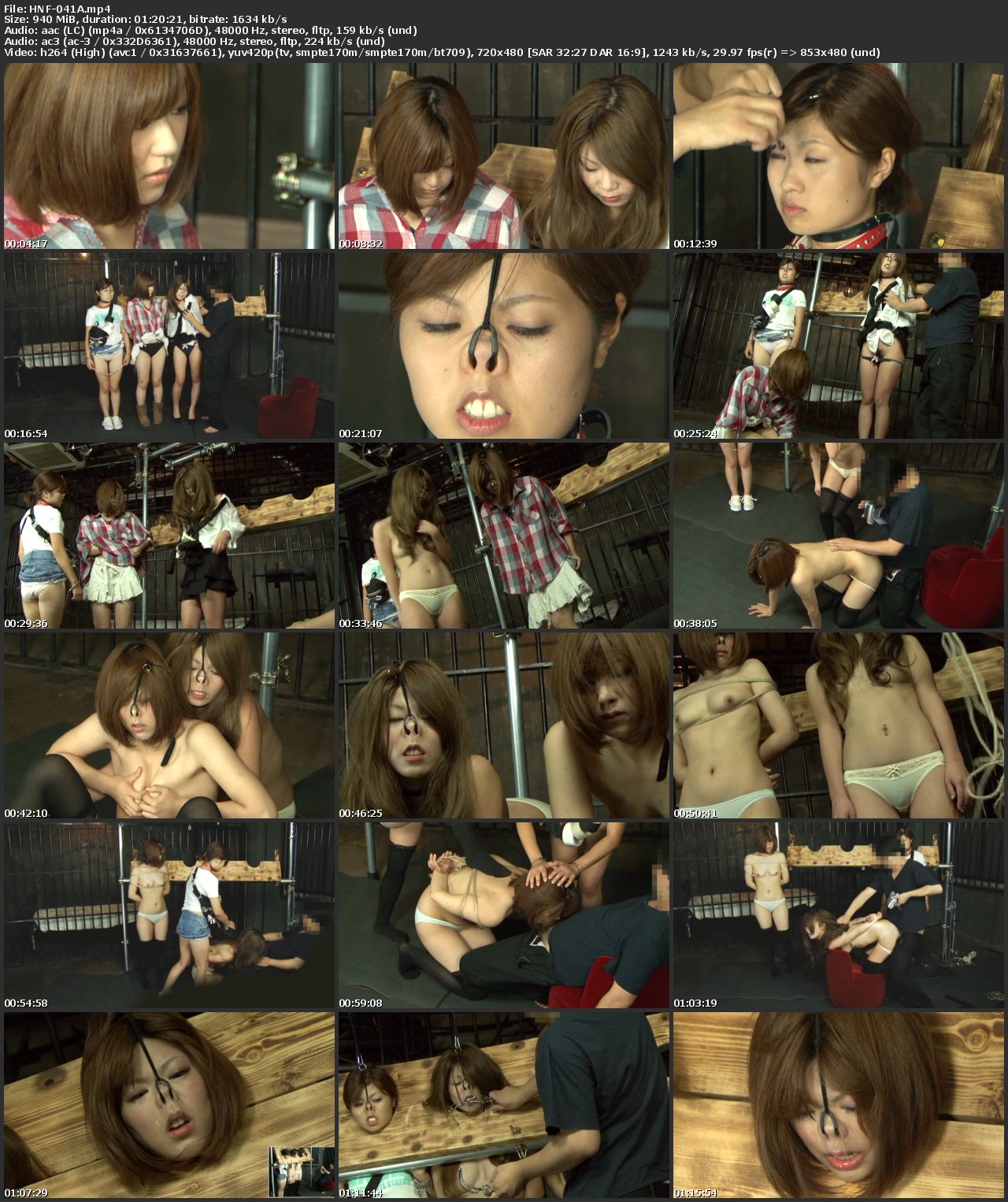 HNF-041 豚面強制 鼻フック新人いじめ　～3人の少女 ＆ 素人女33～ その他メーカー（DVD）s e Hook