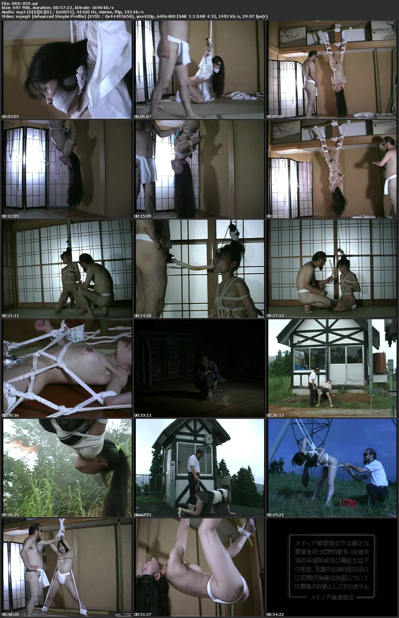 SRD-059 Iida Miwa 哀泣地獄〜あいきゅうじごく〜　 Restraints