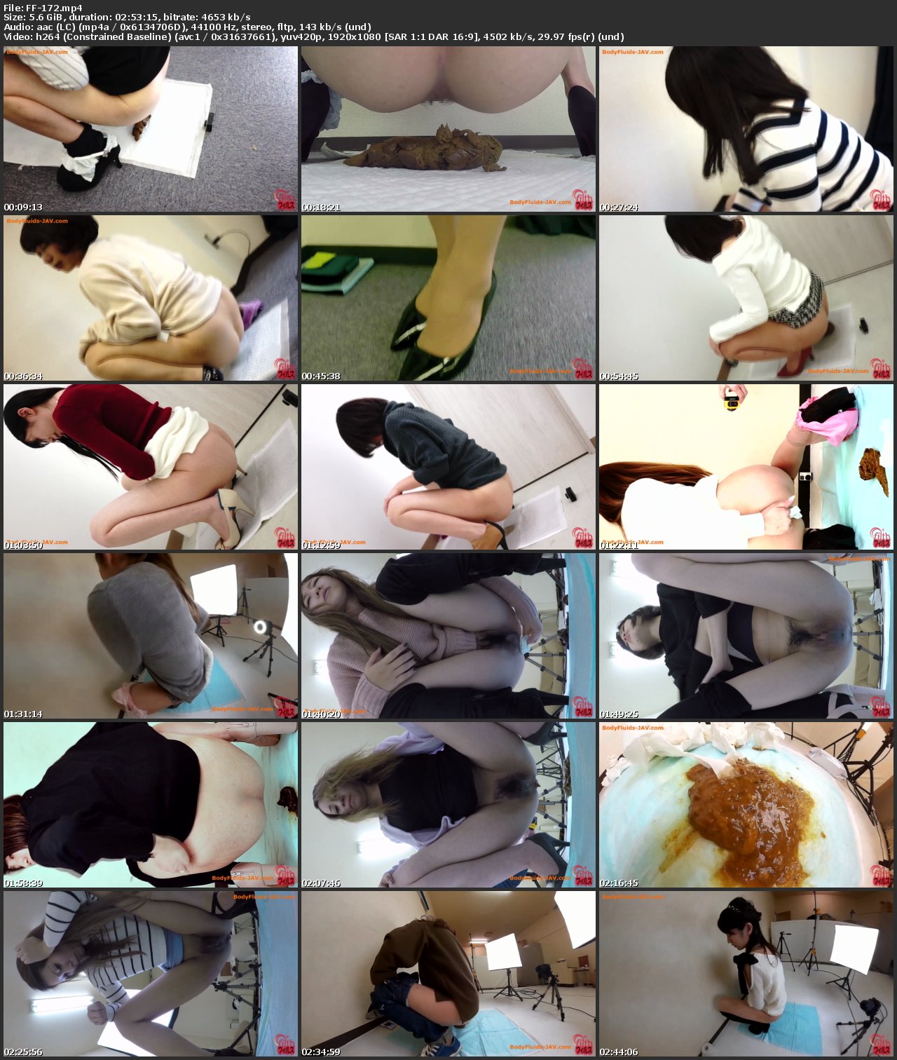[FF-172] ジェイド 良い自然便との遭遇 Scat Defecation