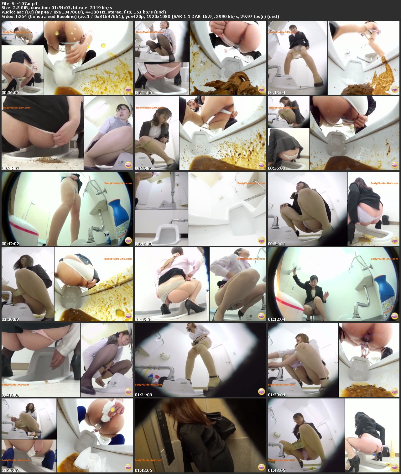 [SL-107] ジェイド 盗撮 便所駆け込みOLパンティずらし下痢便 114分