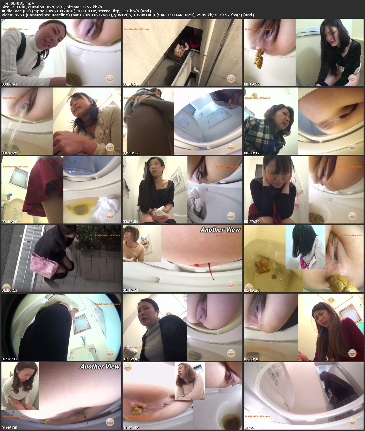 [SL-085] 友人宅駆け込みおしゃべり大便 Defecation スカトロ ジェイド