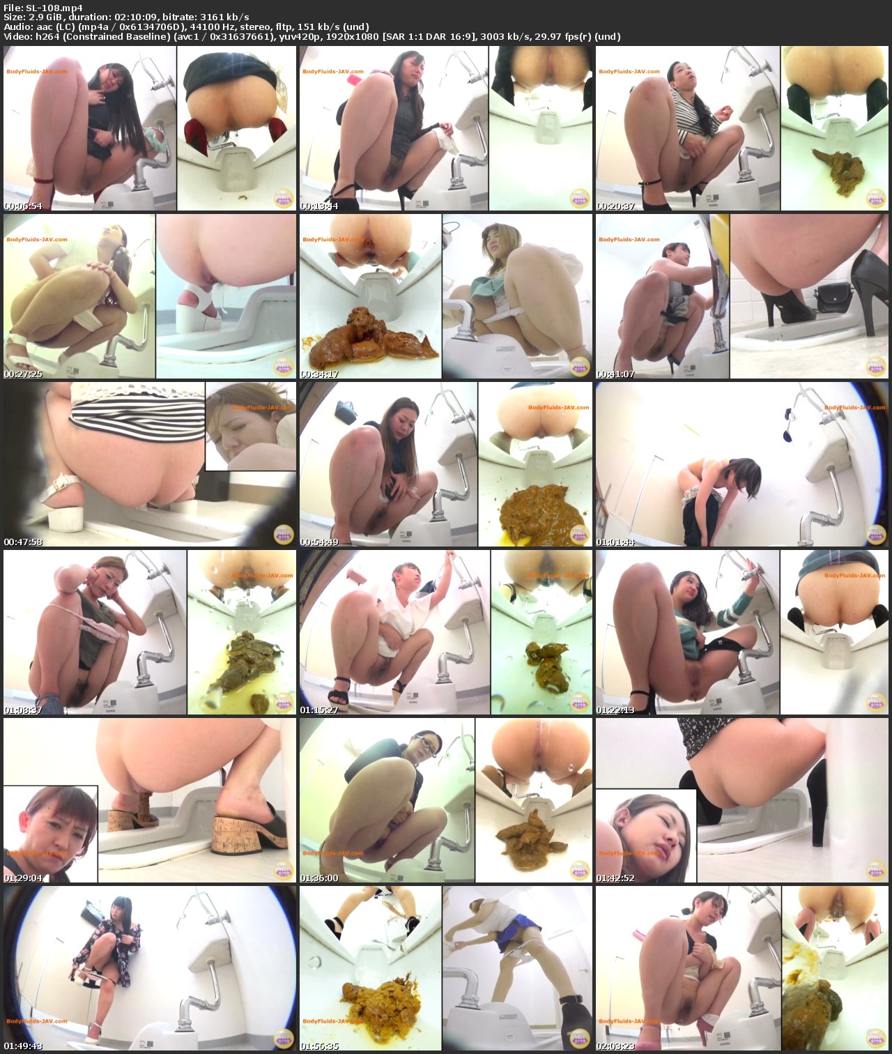 [SL-108] ジェイド 3カメ隠撮限界我慢大便2 ～漏れそなオナラに大小便～ Golden Showers Voyeur 盗撮 脱糞