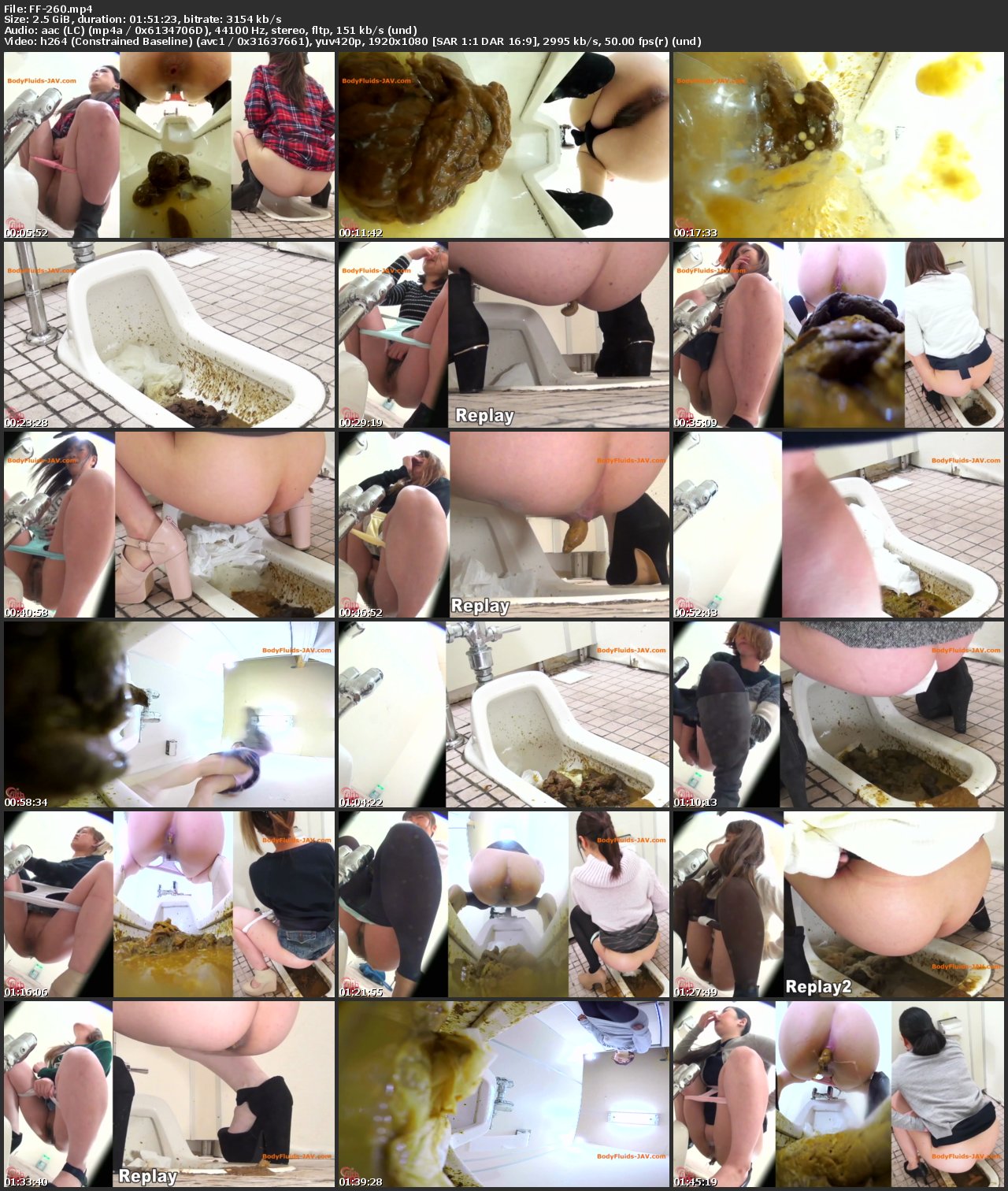 [FF-260] 公衆便所盗撮 流れないウンチ 激臭パニック 三 Defecation Scat 脱糞