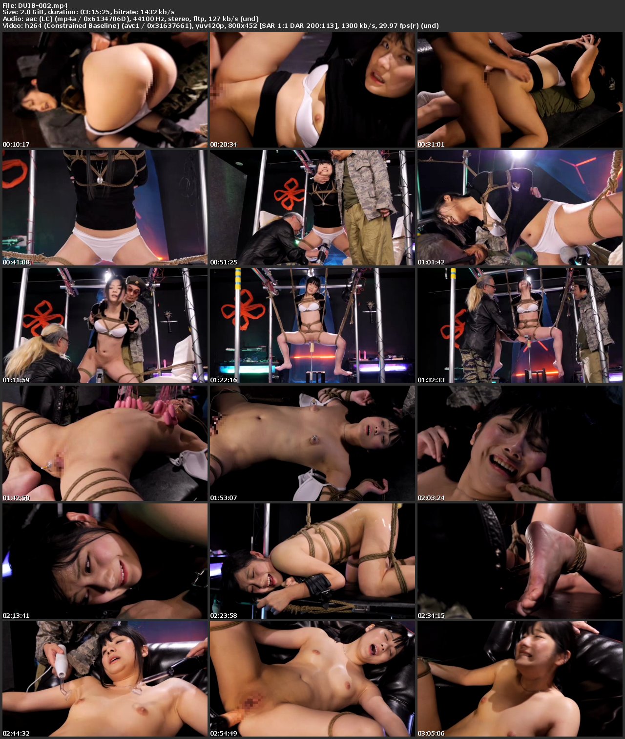 DUIB-002 噂の淫爆処刑台　ザ・タランチュラ　2　小司あん 2穴 キクボン 195分 Shouji An Bondage