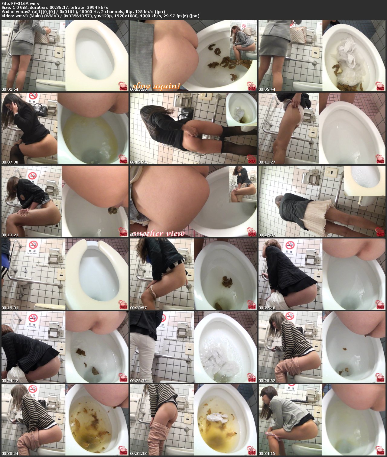[FF-016] 駅の便所 立ちグソPeeping フィルス Voyeur 脱糞 Scatting
