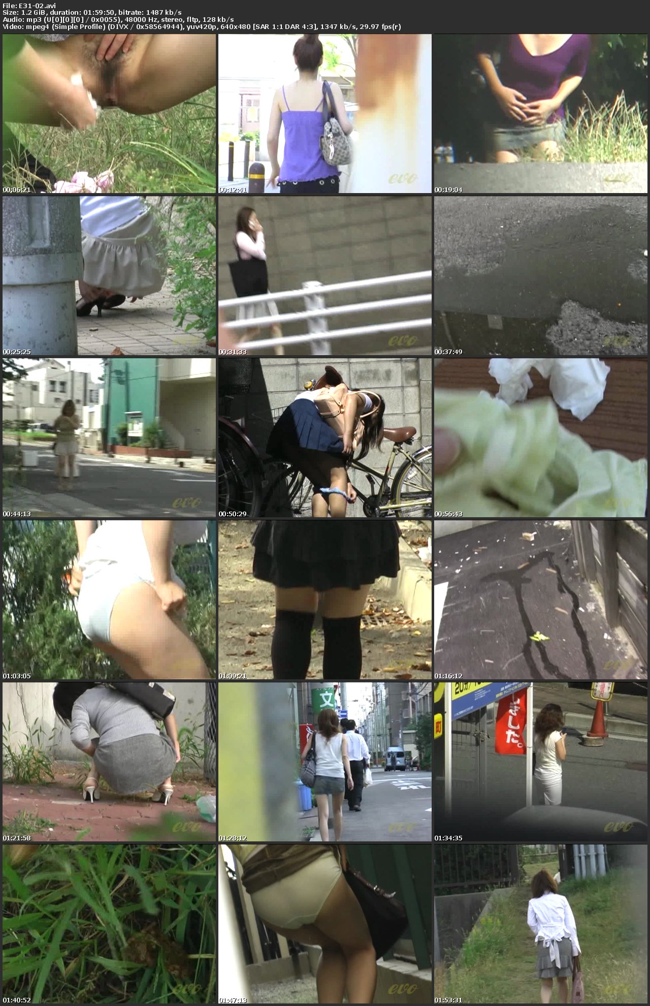 [E31-02] 覗撮 お漏らし失態 野糞 野尿 2 盗撮 その他盗撮 Golden Showers スカトロ 投稿